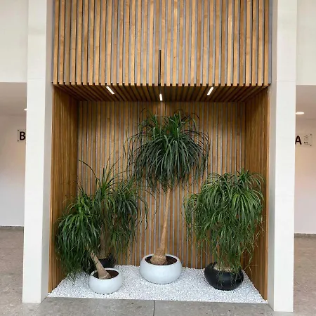 Pami * سينتس قسطنطين وهيلينا